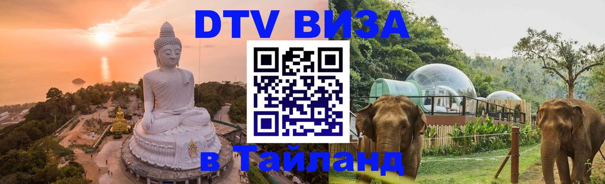Сколько стоит DTV виза — актуальные цены, оформление даже без документов - 03.10.2025 